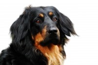 /album/fotogalerie/novy-obrazek-jpg/